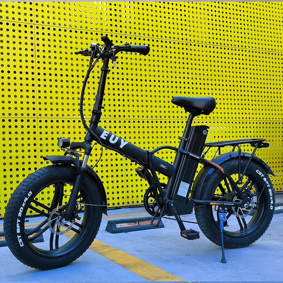 EUY Folding Adult Electric Bike, 750W (Peak 1000W) Motor, 48V 20AH Removable Battery, Commuter