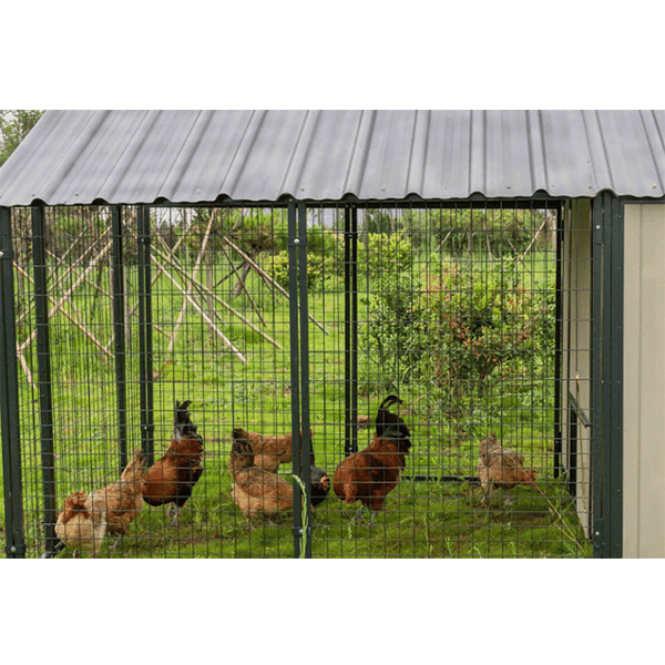Extra Large Sentinel Chicken Coop